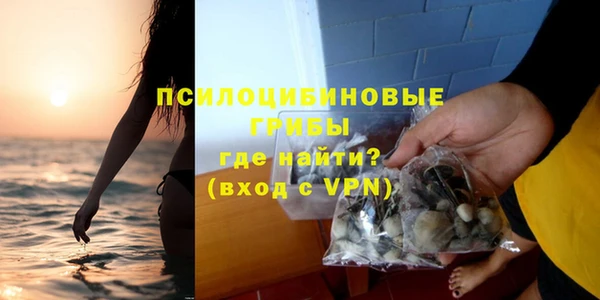 крисы Белокуриха