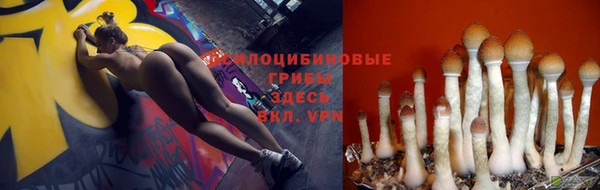 крисы Белокуриха