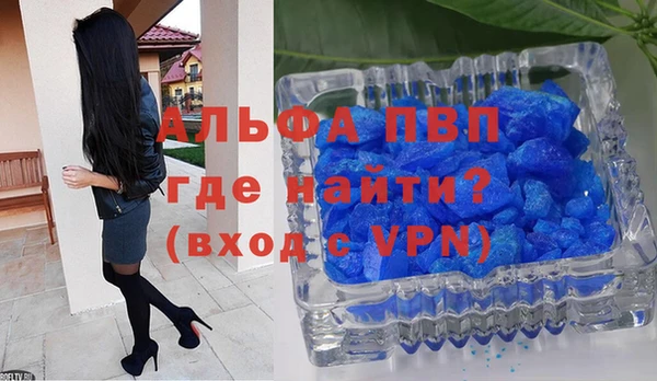 крисы Белокуриха